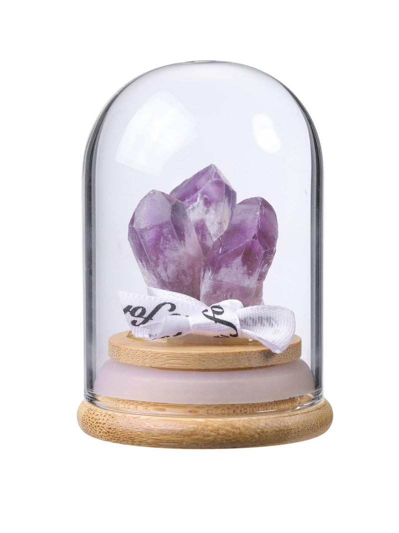 CrystalTears Amethyst Crystal Ornament for Reiki Meditation Home Office Desk Decor, Raw Amethyst Crystals and Healing Stones in Glass Dome, Spiritual Crystal Gifts for Women Men Witchcraft
